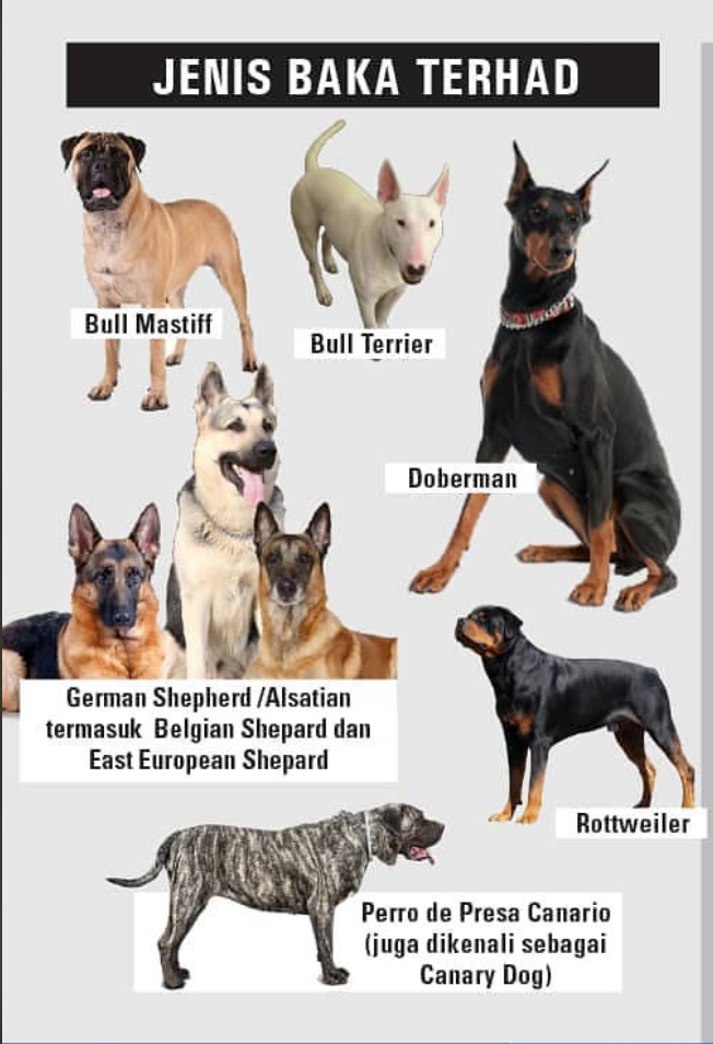 restricted dog breeds