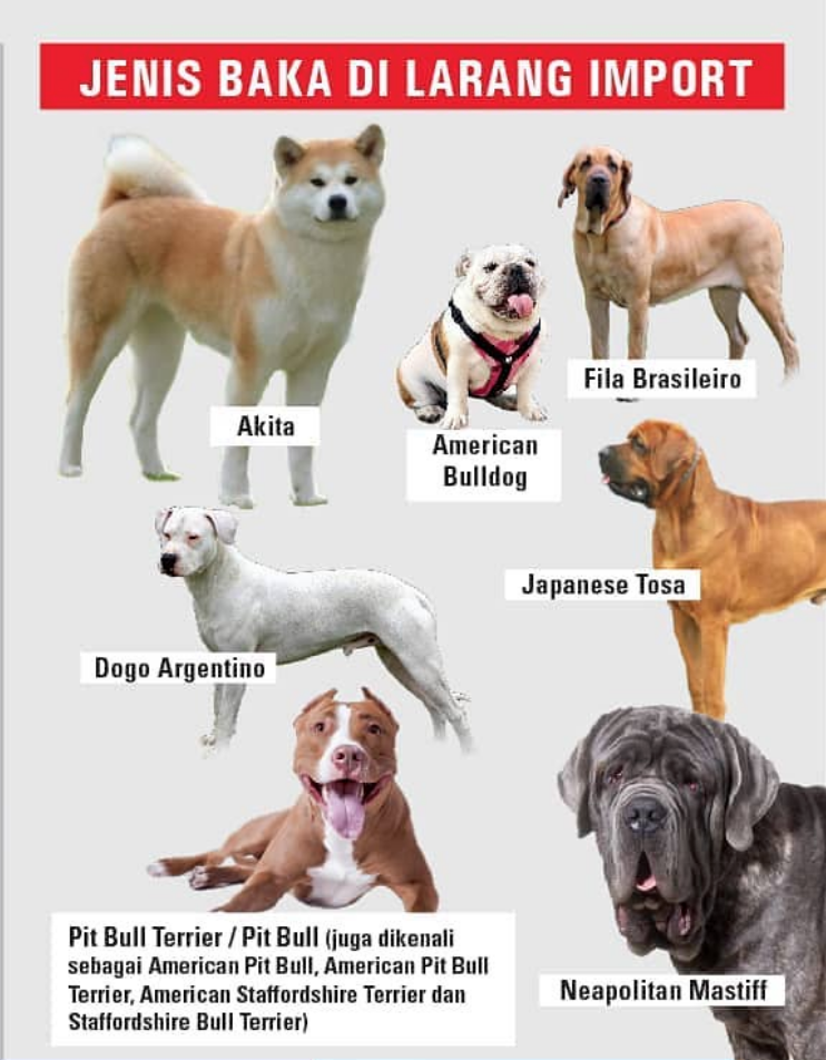 restricted dog breeds