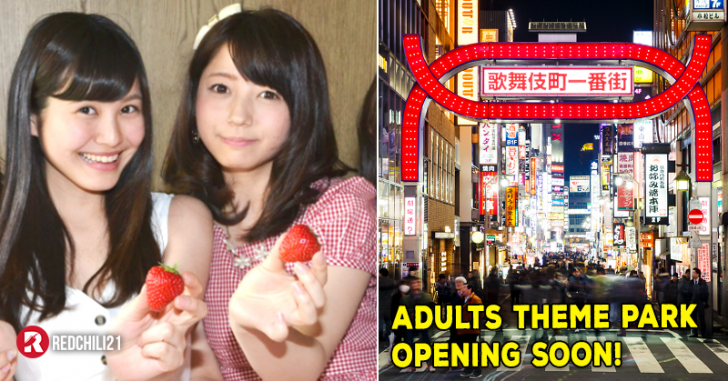 Another Kind Of Theme Park? 5-Floor "Adults Theme Park" Is Opening Soon